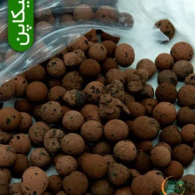 لیکاپون