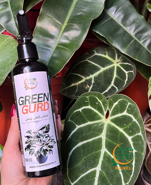 greengurd2 1