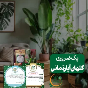 پک ضروری گل آپارتمانی مانلی