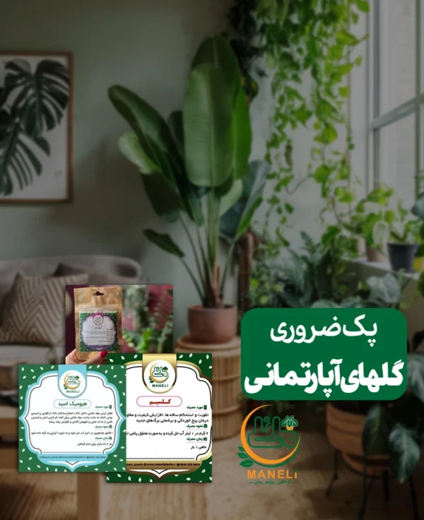 zarori3