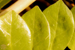 6227c46e 0d04 5ff4 b011 be8341cafc17