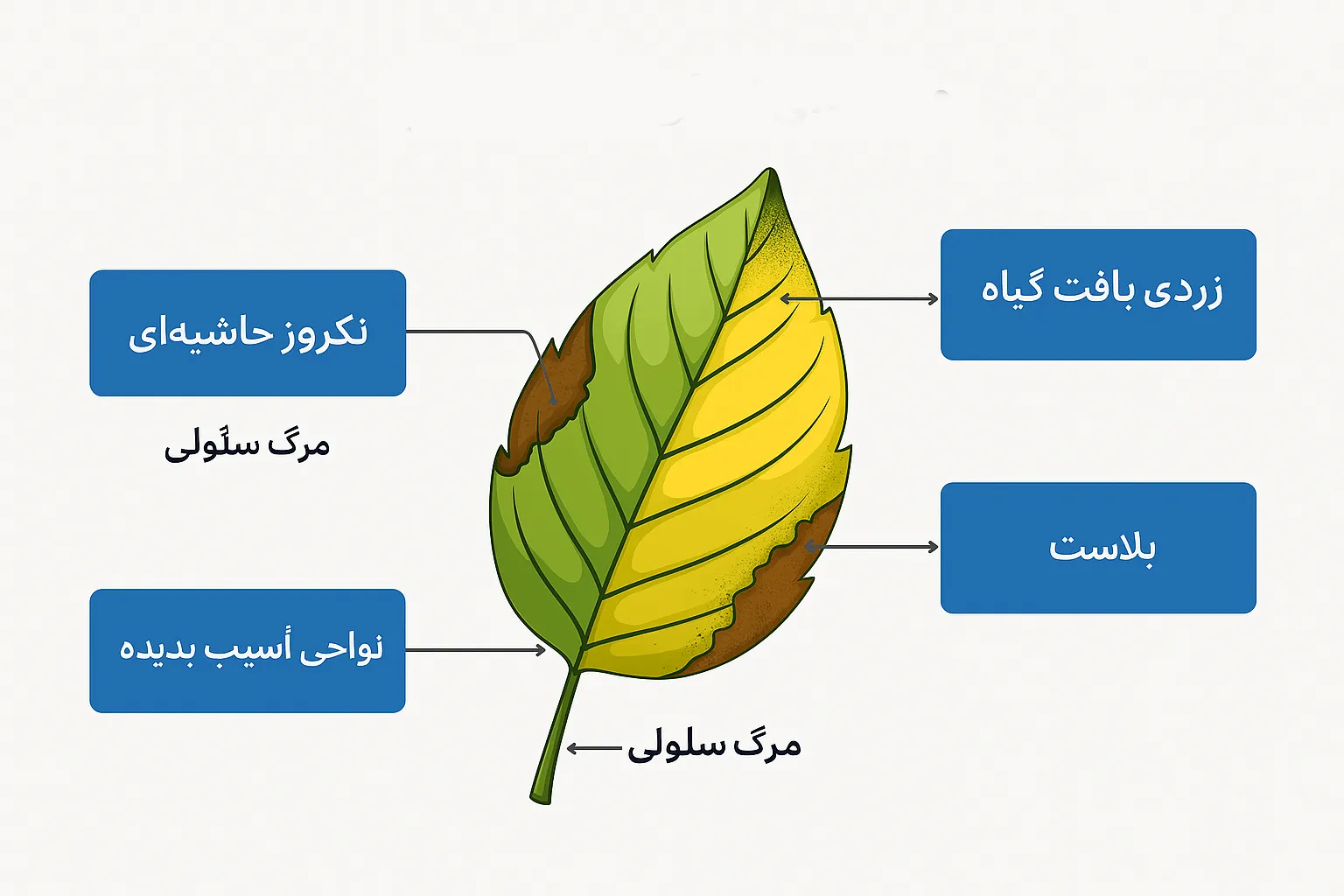 Copilot 20251108 175030